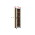 regal-przeszklony-50-cm-regal-z-polkami-do-salonu-regal-ze-szklem-maximus-m11.jpg
