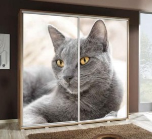 Szafa PENELOPA 205 KOT