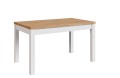 MINI  bialy_craft 1A0001.jpg